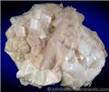 Light Pink Chabazite Rhombs from New Street Quarry, Paterson, Passaic County, New Jersey