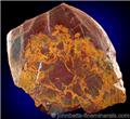 Slab of Yellow & Brown Jasper from Farm field west of Deaven Road, Paxtonia, Dauphin County, Pennsylvania