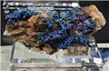 Iridescent Wire Chalcocite from Tongshan Mine, Nenjiang Co., Heihe Prefecture, Heilongjiang Prov., China