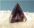 Gemmy Chambersite Crystal from Barbers Hill Salt Dome, Mont Belvieu, Chambers Co., Texas