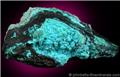 Rounded Botryoidal Chrysocolla from 79 Mine, Banner District, near Hayden, Gila County, Arizona