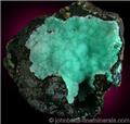 Chrysocolla Quartz on Matrix from Inca de Oro, Atacama, Chile