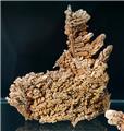 Complex Copper Crystal Dendrites from Chino Mine, near Bayard, New Mexico