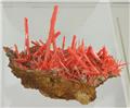 Elongated Crocoite on Matrix from Adelaide Mine, Zeehan District, Dundas, Tasmania, Australia