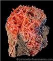 Reticulated Crocoite from Red Lead Mine, Dundas, Tasmania, Australia