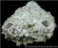 Datolite Epimorphs after Glauberite from Prospect Park Quarry, Prospect Park, Passaic County, New Jersey