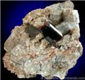 Dravite Crystal on Tremolite from 7 Springs Ski Area, Parishville, St. Lawrence County, New York