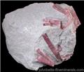 Rubellite in Lepidolite from Stewart Mine, Pala District, San Diego County, California