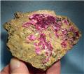 Vivid Pink Erythrite Crust from Sara Alicia Mine, San Bernardo, Mun. de Alamos, Sonora, Mexico