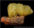 Fan-shaped Adamite Crystals from Ojuela Mine, Mapimi, Durango, Mexico