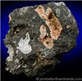 Gmelinite-Na in Cavity from County Antrim, Northern Ireland, UK