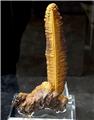 Elongated Stalagmitic Goethite Formation from Lavrion, Attica, Greece