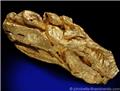 Brazilian Gold from Alta Floresta, Mato Grosso, Brazil