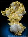 Bright Gold on Quartz from Eagle's Nest Mine, Placer County, California