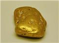 Gold Nugget from American River, Placerville, El Dorado Co., California