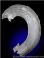 Curved Gypsum in Rams Horn Formation from Santa Eulalia District, Aquiles Serdan, Chihuahua, Mexico