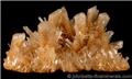 Brown Gypsum Crystal Plate from Pernatty Lagoon, Mount Gunson, South Australia, Australia