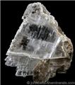 Selenite Formation in Matrix from Lockport, Niagara County, New York