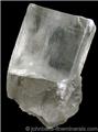 Classic Halite Cube from Stassfurt, Germany