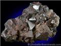 Hematite Pseudo Magnetite (Martite) from Twin Peaks, Millard County, Utah