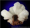 Hemimorphite Crystal Fan from Mina Ojuela, Mapimi, Durango, Mexico