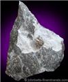 Howlite Crystals from Iona, Cape Breton Island, Nova Scotia, Canada