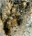 Zoom Of Humite Cavity from Monte Somma, Napoli, Campania, Italy