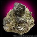 Johannsenite with Sphalerite from Iron Cap Mine, Graham County, Arizona