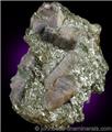 Lawsonite Crystals in Matrix from Reed Station, Tiburon Peninsula, Marin County, California