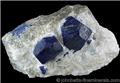 Two Matrix Lazurite Crystals from Sar-e-Sang, Kokscha Valley, Badakshan, Afghanistan