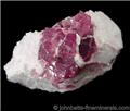 Bright Pink Lepidolite in Quartz from Petaca District, Rio Arriba County, New Mexico