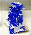 Electric Blue Linarite Sprays from Blanchard Mine, Bingham, Socorro Co., New Mexico