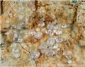 Melanophlogite (zoomed image) from Fortullino, Quercianella (Livorno), Tuscany, Italy