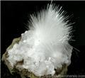 Acicular Mesolite Sprays from Skookumchuck Dam, Tenino, Thurston County, Washington