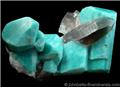 Amazonite with Smoky Quartz from Smokey Hawk Claim, Teller County, Colorado