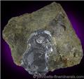 Large Matrix Molybdenite Crystal from Crown Point Mine, Holden, Chelan County, Washington