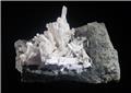 White Natrolite Spray on Matrix from Millington Quarry, Bernards Co., Somerset Co., New Jersey