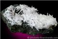 Elongated White Natrolite Crystals from Millington Quarry, Bernards Township, Somerset County, New Jersey