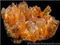 Bright Orange Gypsum from Las Salinas de Paracas, Pisco, Ica Department, Peru