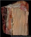 Petrified Wood Chunk from Navajo County, Arizona