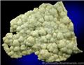 Brainlike Prehnite Plate from Interstate 80 road cut, Paterson, Passaic County, New Jersey