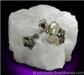 Pyrite in White Quartz from NE Mine Co., Adams, Berkshire County, Massachusetts