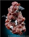 Dark Rhodochrosite on Aegirine from Mont Saint-Hilaire, Quebec, Canada