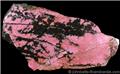 Rhodonite with Black Dendrites from Minas Gerais, Brazil