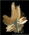 Acicular Golden Rutile Spray from Novo Horizonte, Bahia, Brazil