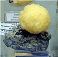 Yellow Stellerite Sphere on Matrix from Diamonkara, Bemdoudou, Mali