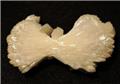 Stilbite Bowtie from Upper New Street Quarry, Paterson, Passaic County, New Jersey