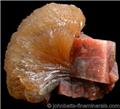 Stilbite Fan with Chabazite from Wasson's Bluff, Parrsboro, Nova Scotia, Canada