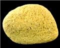 Rounded, Waterworn Sulfur from Fire Island Beach, Suffolk County, Long Island, New York