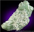 Thomsonite Crystals on Prehnite from Lower New Street Quarry, Paterson, Passaic County, New Jersey